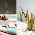 빌라 Lyra, Piscina Climatizada