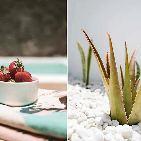 Villa Lyra, Piscina Climatizada