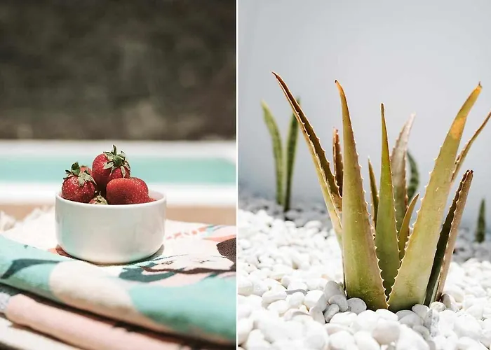 Villa Lyra, Piscina Climatizada